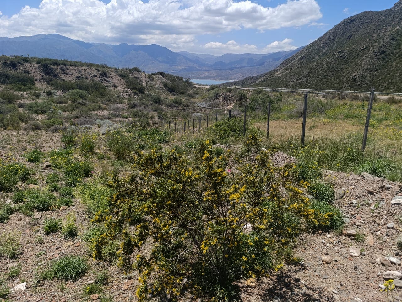 Lote, Ruta 7, Potrerillos, oportunidad, inmobiliaria, inversión